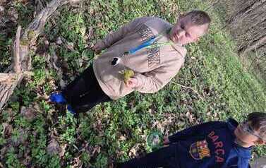 IMG-20260417-WA0017