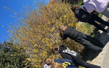 IMG_4294.jpeg