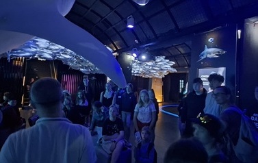 20260529_095348