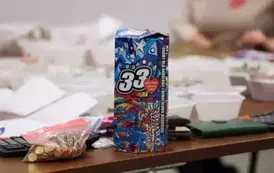 wosp (7)
