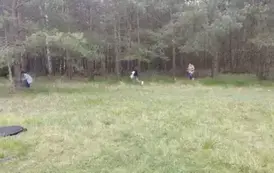 poszukiwanie prezent&oacute;w (4)