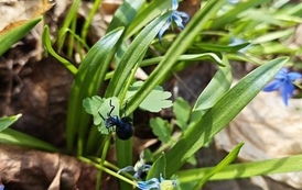 IMG_20260417_095605