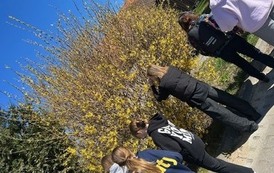 IMG_4294.jpeg