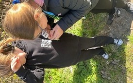 IMG_4293.jpeg