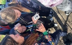 IMG_4329.jpeg