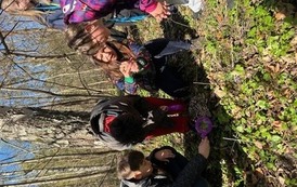 IMG_4318.jpeg
