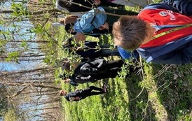 IMG_4316.jpeg