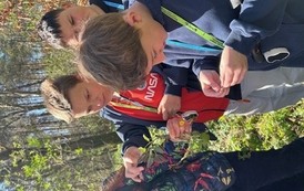IMG_4310.jpeg