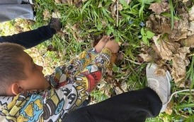 IMG_4301.jpeg