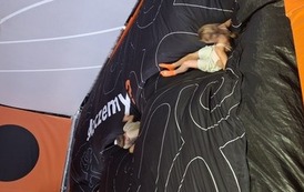 20260610_121416