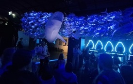 20260529_095158