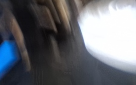 20260529_103320
