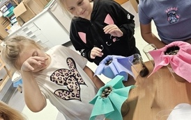 IMG_20261021_142902