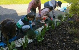 IMG-20240426-WA0007